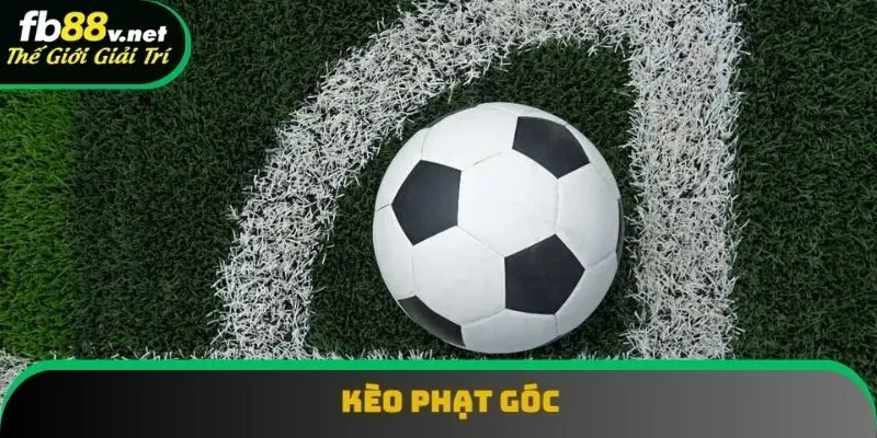 Kèo Phạt Góc Là Gì? Hướng Dẫn Cá Cược Dễ Giành Chiến Thắng
