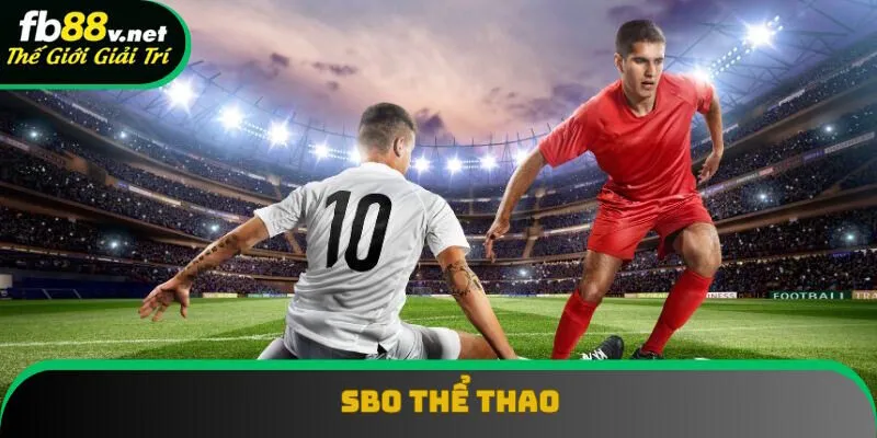 SBO Thể Thao: Nền Tảng Cá Cược Giải Trí Đẳng Cấp Nhất 2025